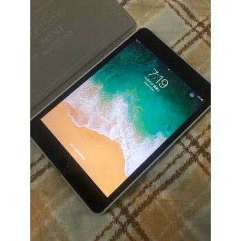 苹果iPad mini 4（16GB/WiFi版）】报价_参数_图片_论坛_Apple